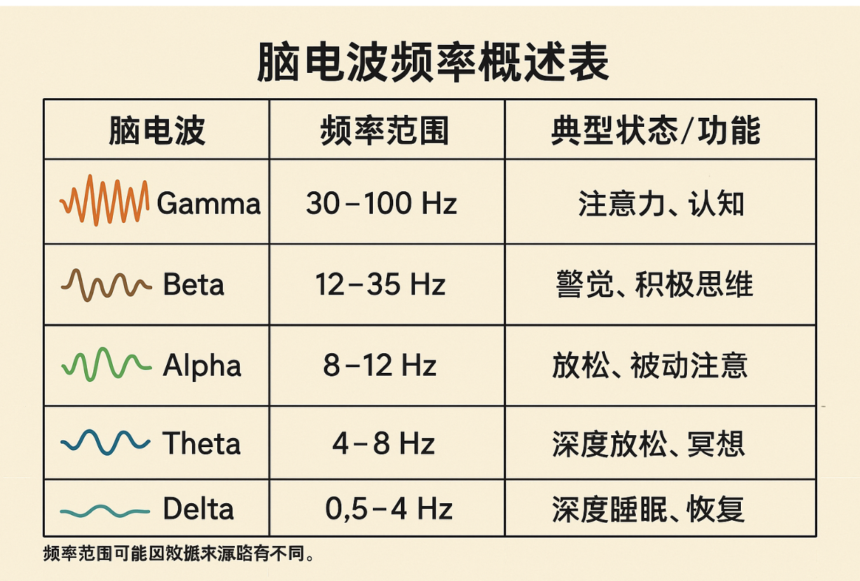 人体脑电波图表